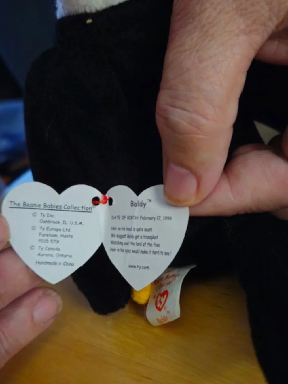 Ty Beanie Baby Baldy The Eagle Tags In Tact